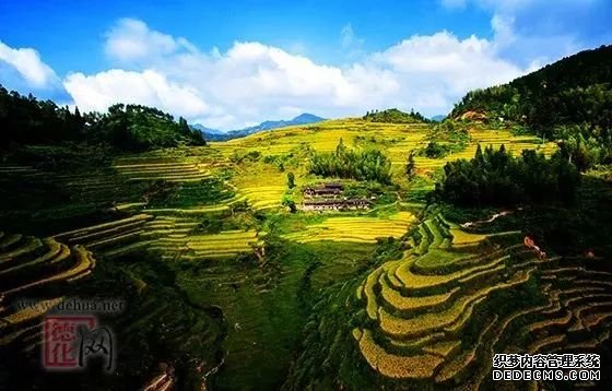福建被国办通报表扬了!这些地方将享受国家政策、资金等激励支持